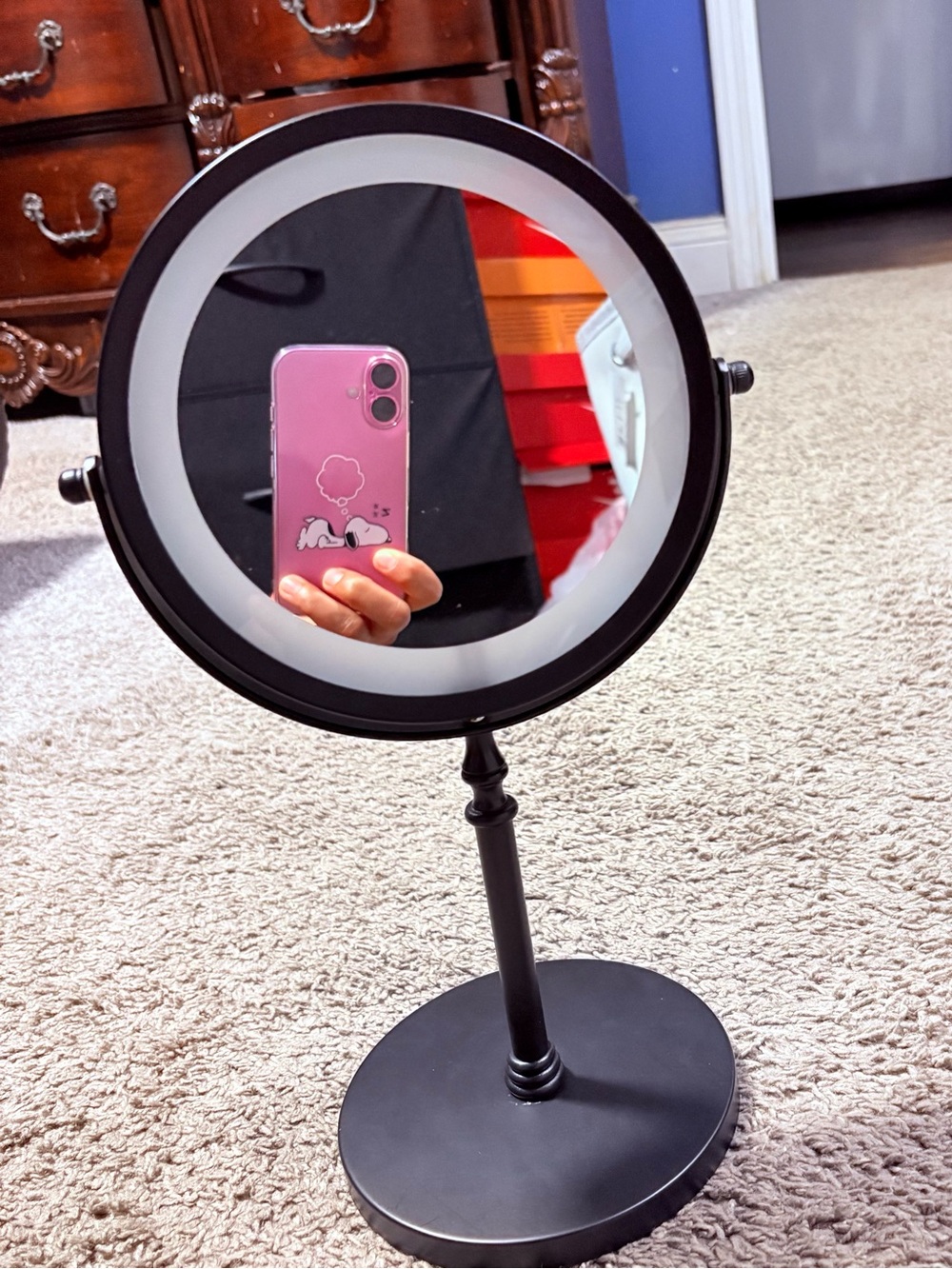IKEA Black Round LED Vanity Mirror